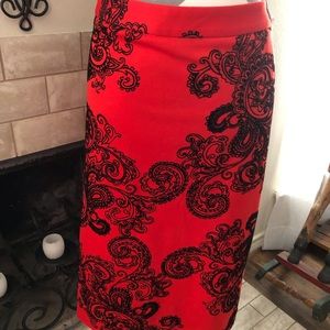 Red skirt with black velvet design.